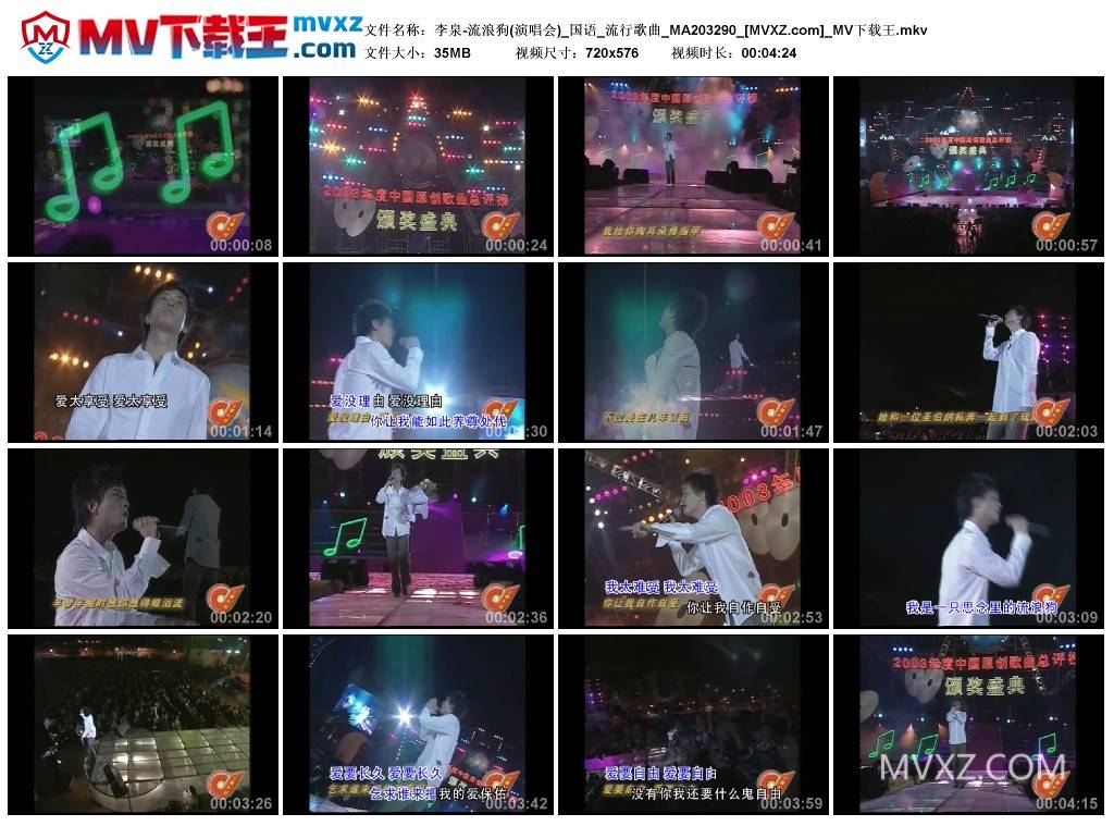 李泉-流浪狗(演唱会)_国语_流行歌曲_MA203290